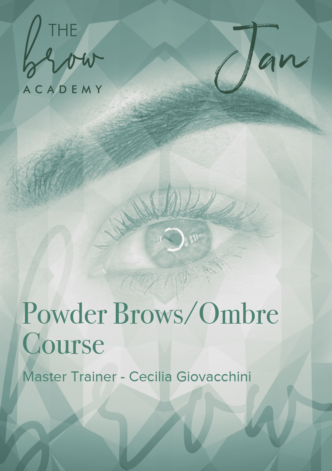 East Bay Powder Brows Ombre Courses - January